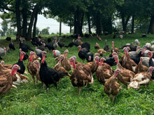 Load image into Gallery viewer, Thanksgiving Turkey Deposit
